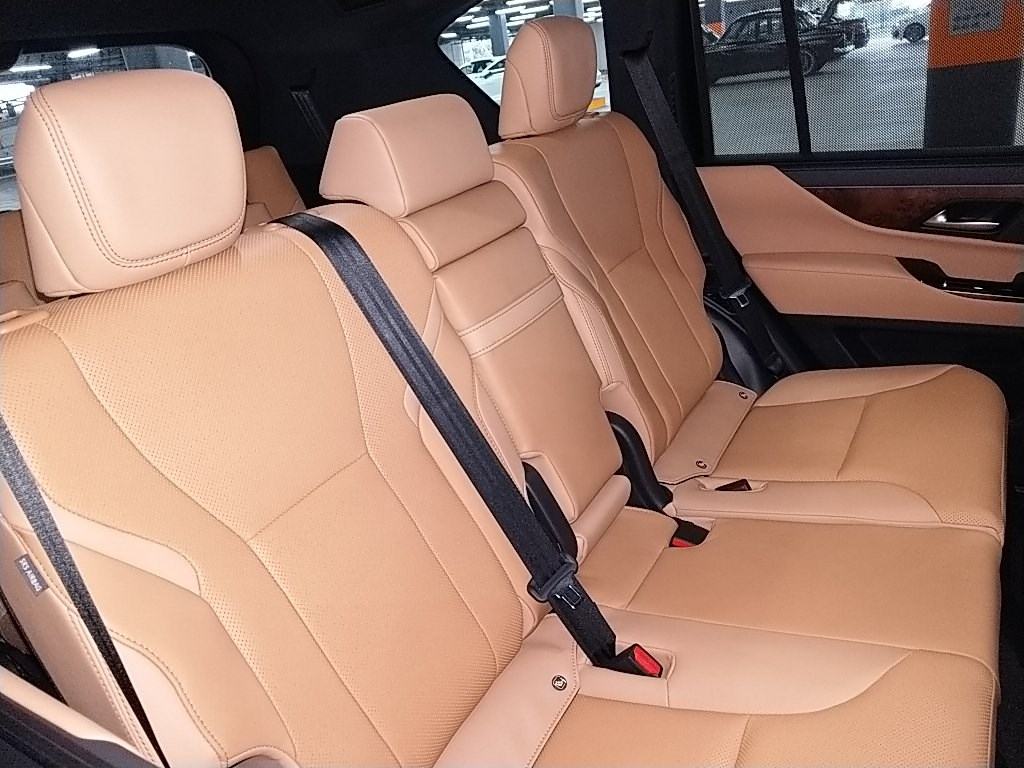 Lexus LX600, Black color and Hazel interior picture: Interior view image