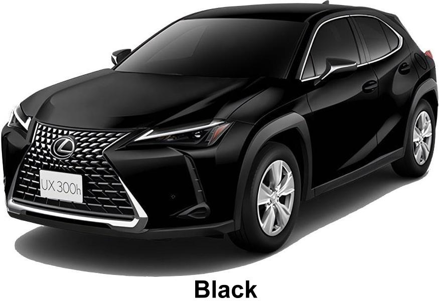 New Lexus UX300H body color: Black