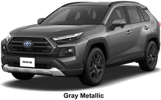 New Toyota Rav4 Adventure body color: GRAY METALLIC